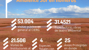 Ambiente Sur: un nuevo plan estratégico para la