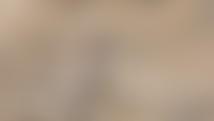 Las aves migratorias patagónicas que nos visitan