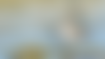 Playeros rojizos: de Canadá al estuario