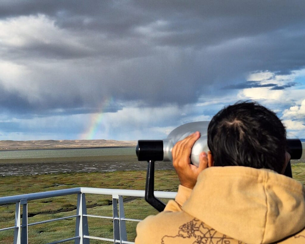 Costanera de Río Gallegos: un “Sitio Sensible” para la conservación