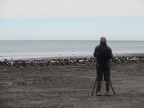 Con los pies en el barro protegen a las aves y el ambiente