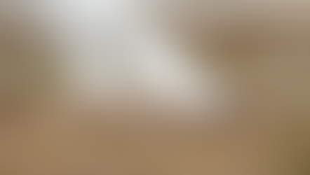 La gestión de la basura es nuevamente la principal preocupación de los ciudadanos