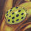 Thumbnail: coccinelle nature insecte art contemporain Annette Cormier