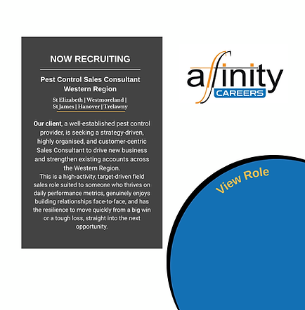 _Sales Consultant  Western Jamaica (Instagram Post).png