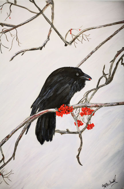 Bird Feeding