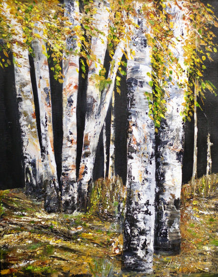Forest Birches