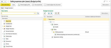 1C-ERP_budgeting