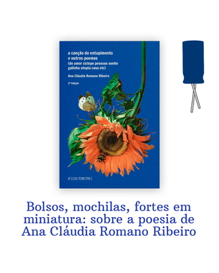 Bolsos, mochilas, fortes em miniatura: sobre a poesia de Ana Cláudia Romano Ribeiro
