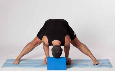 Forward Bends Workshop with Paddy Hamill