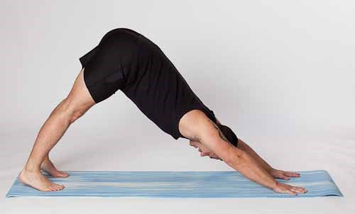 Dog Head Down ( Adho Mukha Svanasana ) as demonstrated by Paddy Hamill