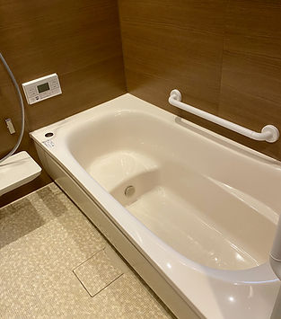 Tamagawa2410.jpg