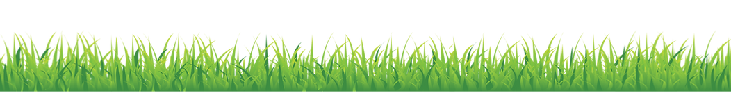 image-asset (5).png