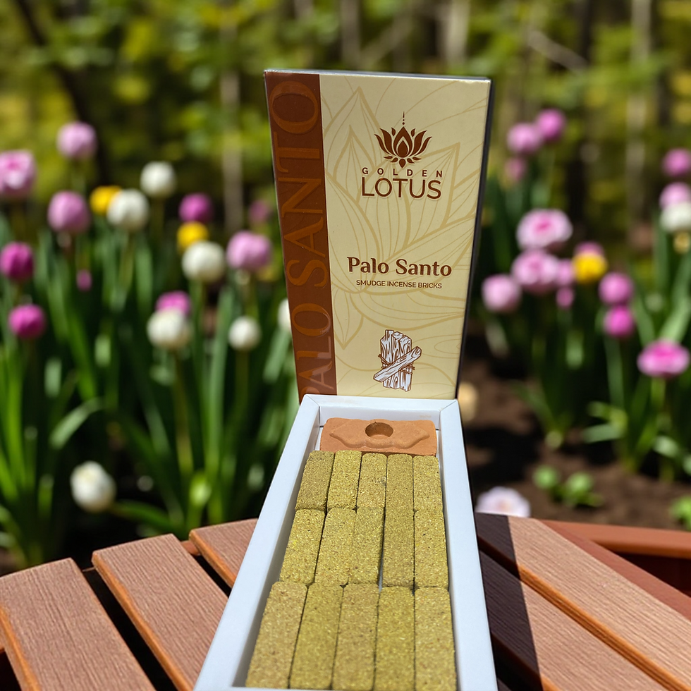 Palo Santo Wood Bricks with Burner
