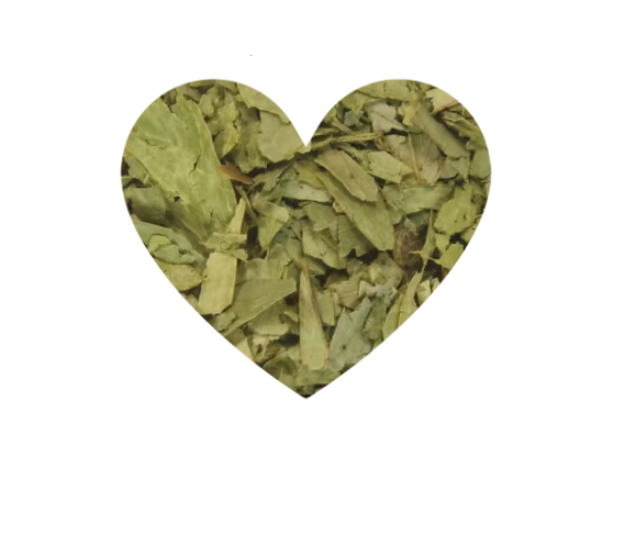 Senna Leaf