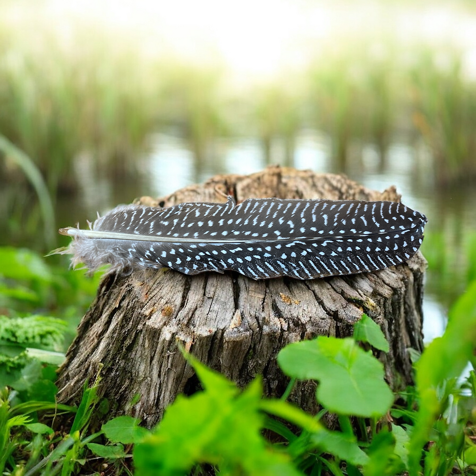 Small Smudging Prayer Feather