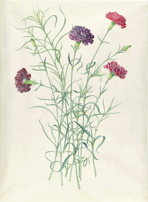 An Album of Chinese Flower Paintings - In Tempera, circa 1820