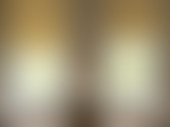 Members - Joyful Floral Fabrics For Spring