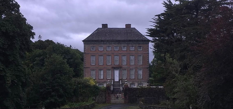 Members - Great Irish Houses, The Georgian Tradition By Daniel Finnerty