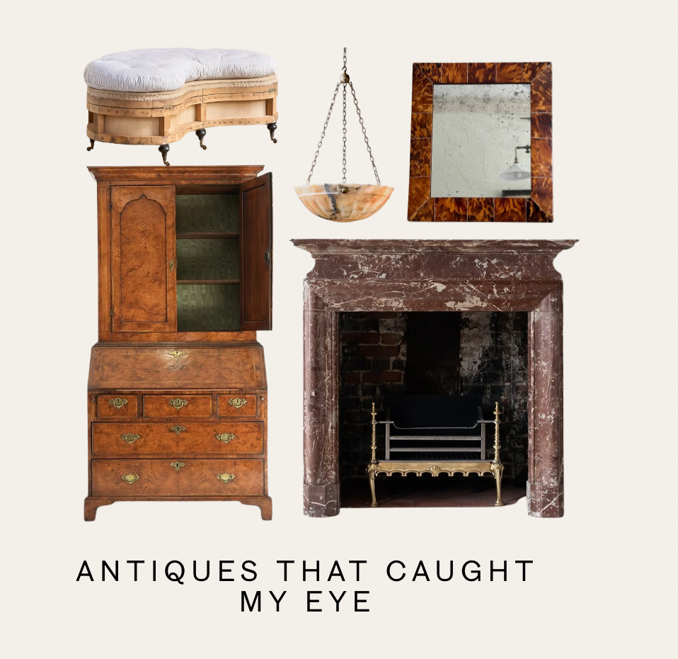 Members - Antiques That Caught Your Eye