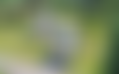 The Shooting Lodge, 1 Bedroom, 1 Bathroom, Loughborough, Leicestershire, £400k