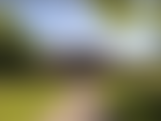 Perchance to Dream: Homes with Potential.