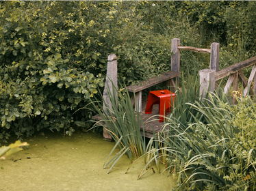 Rethinking the Outdoors: How Them Outdoors is Bringing Design-Led Beauty to Gardens