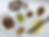 Jacob Kenedy and Rachel Roddy's Ancient Roman Feast at Bocca Di Lupo