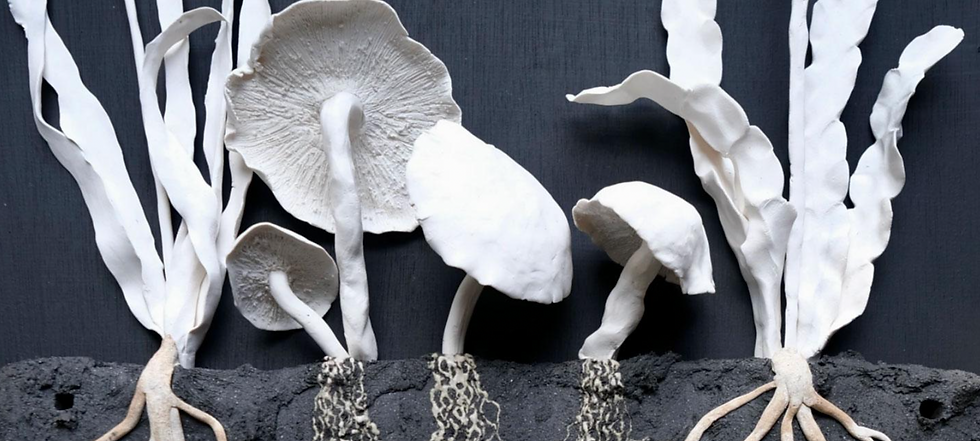 Soil, Somerset House