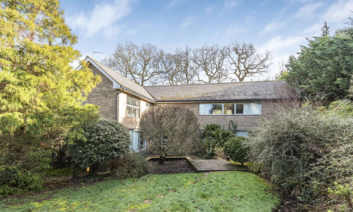 Cedar Heights, 6 Bedrooms, 3 Bathrooms, Richmond, £3 Million