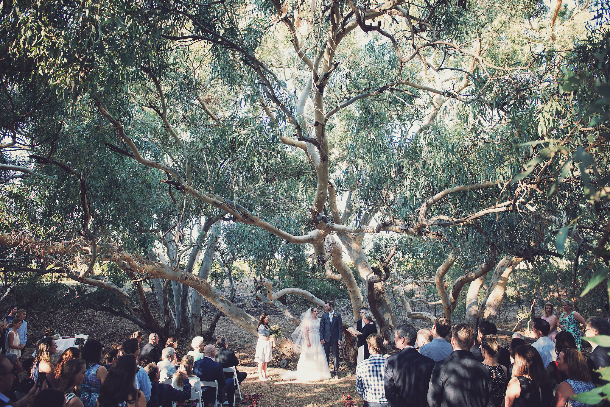 Werner Vineyard Wedding