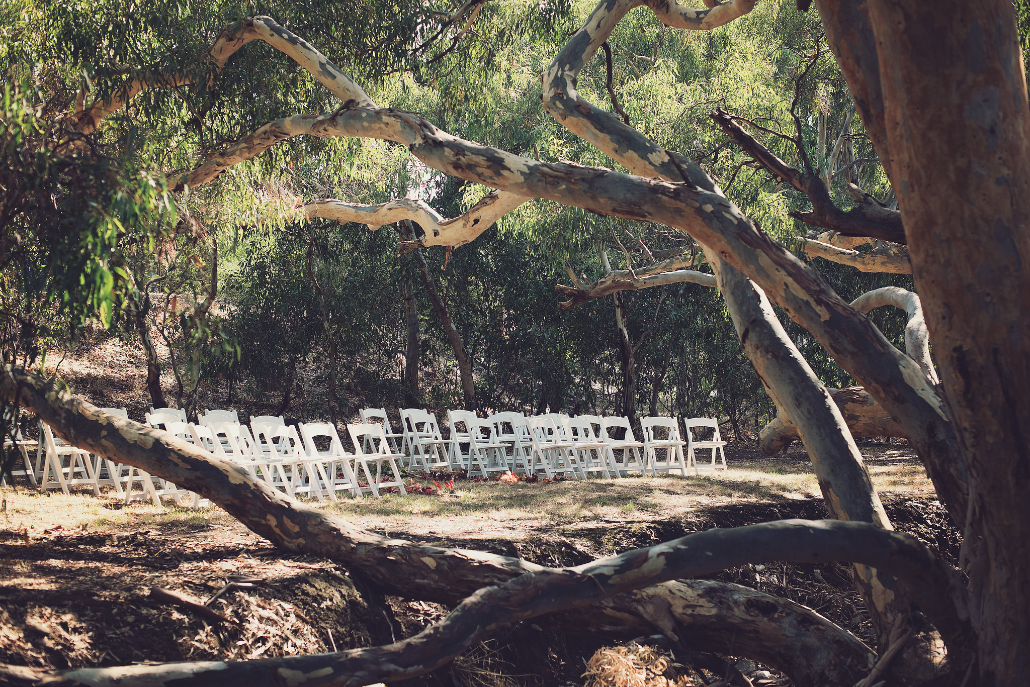 creek_chairs 2