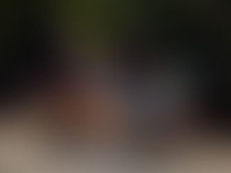 Estudantes do Elementary participam do Projeto Buddy Bench