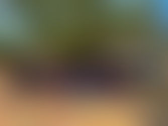 Alunos da Educação Infantil Abraçam o Serviço nas Comunidades Locais