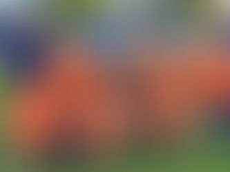 Cougars' Triumphs at the Nations Soccer Cup: A Celebration of Victories in Soccer and Futsal