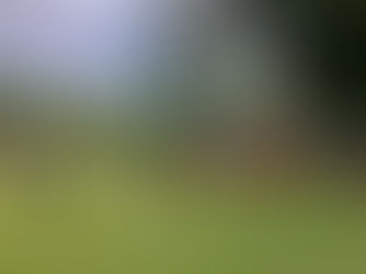 Cougars conquistam medalhas na segunda fase da Nations Soccer Cup