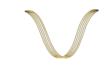 LOGO VIENNA FONDO TRANSPARENTE.png