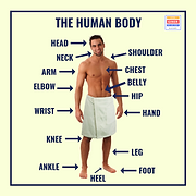 THE BODY copia.png