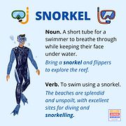 SNORKEL.png