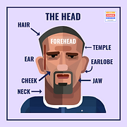 B1 THE HEAD.png