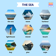 THE SEA.png