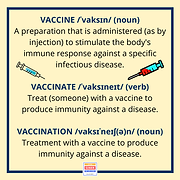 VACCINES.png