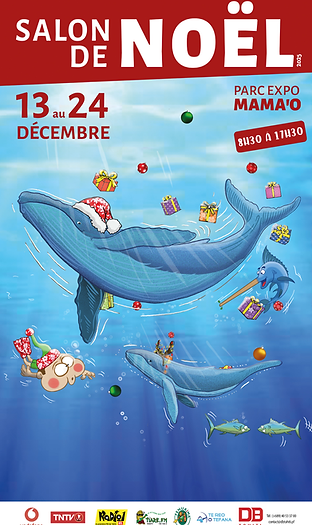 DB 2025 - SALON NOEL - FB story.png