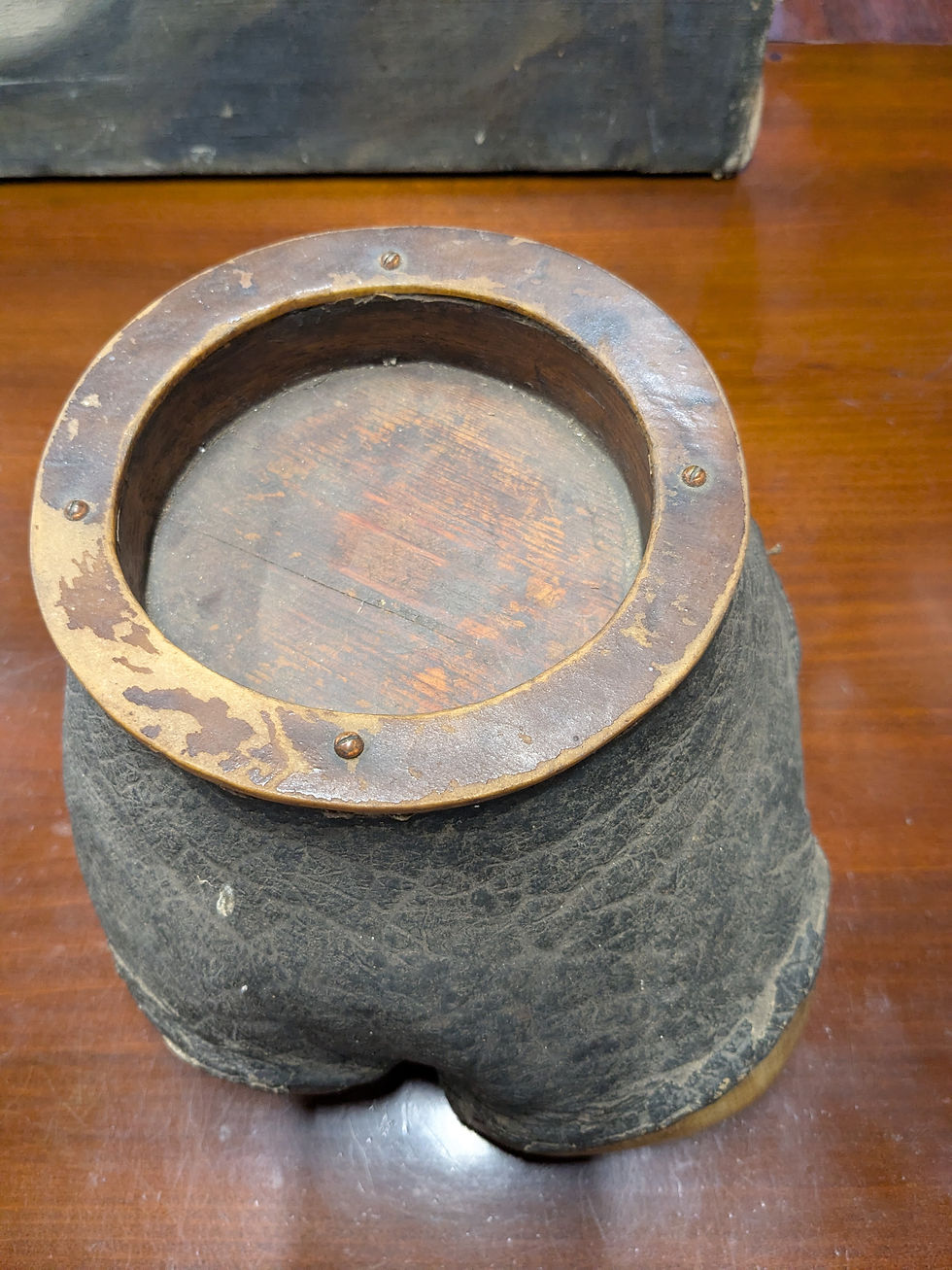 Thumbnail: Antique Rhino Foot