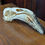 Thumbnail: Lesser Flamingo Skull