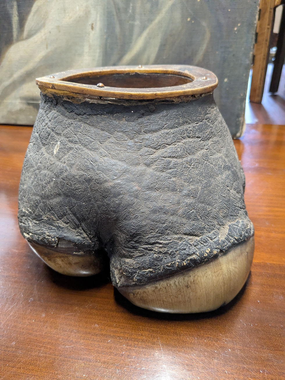 Thumbnail: Antique Rhino Foot