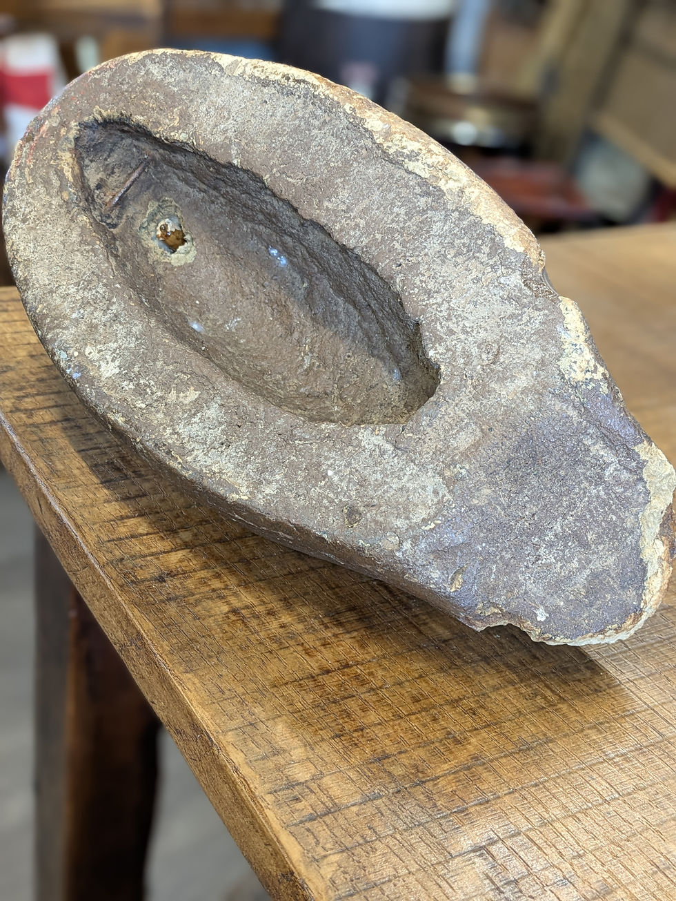 Thumbnail: American Decoy Duck