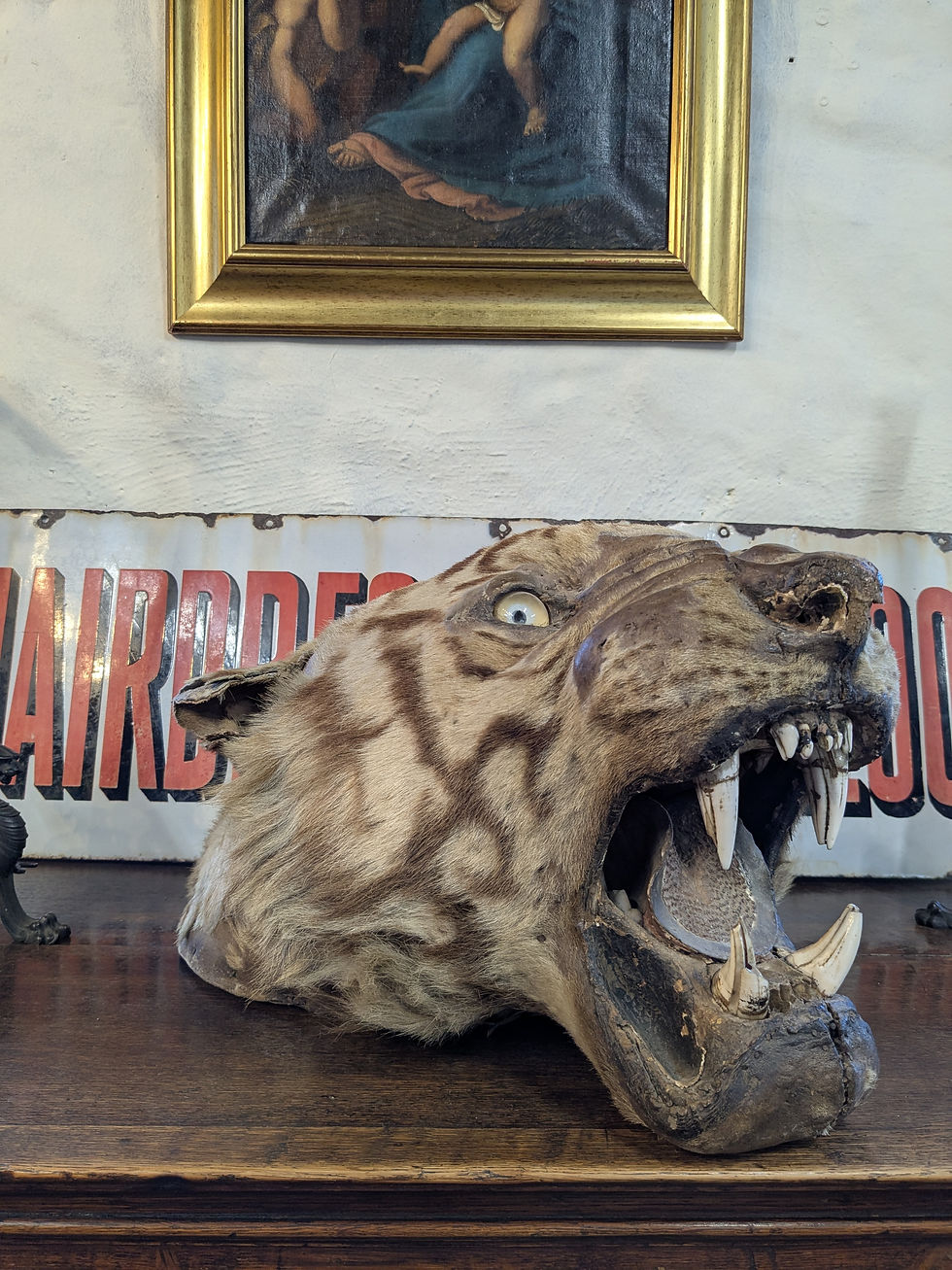 Thumbnail: Van Ingen & Van Ingen Tiger head 