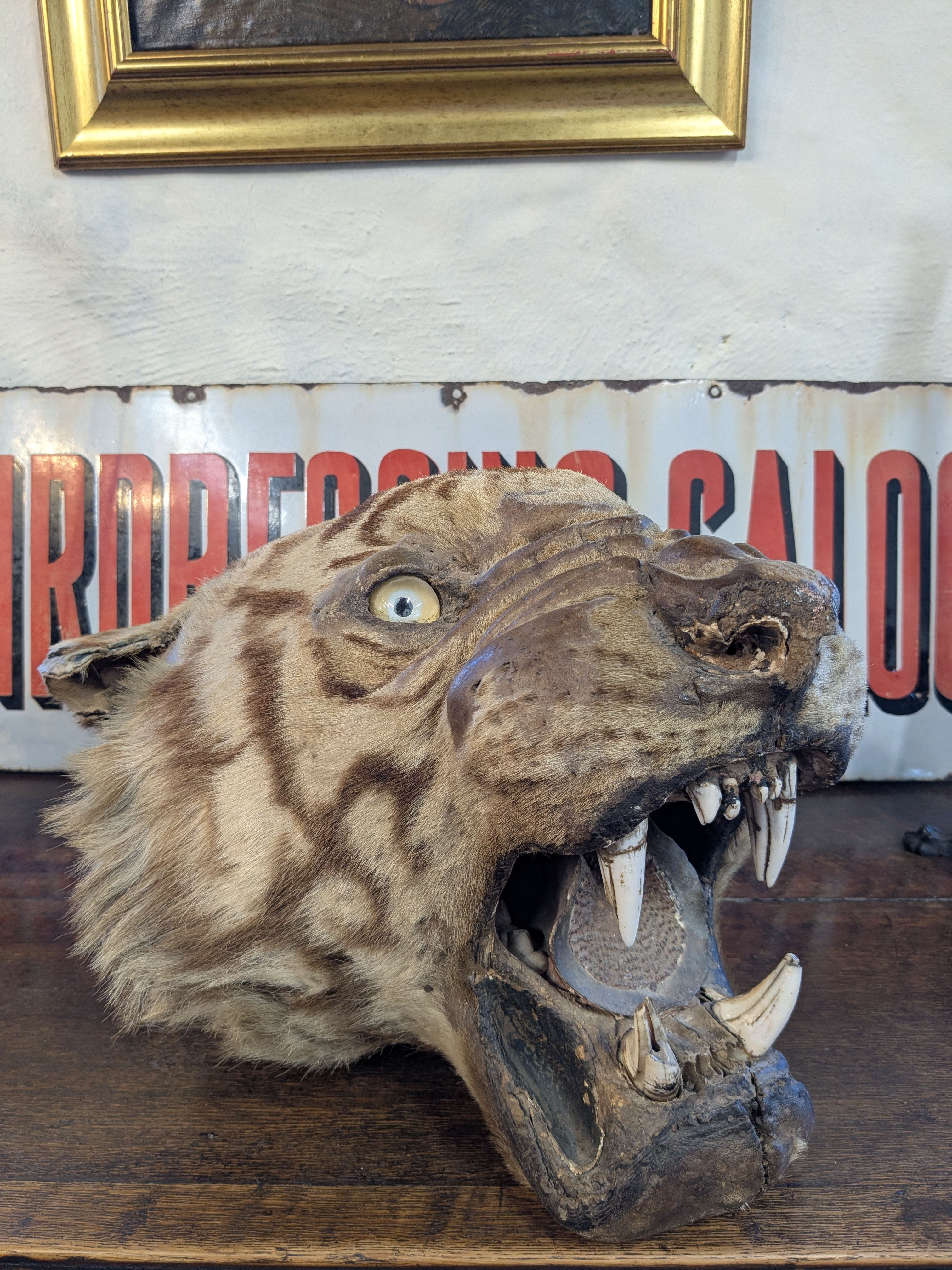 Van Ingen & Van Ingen Tiger head 