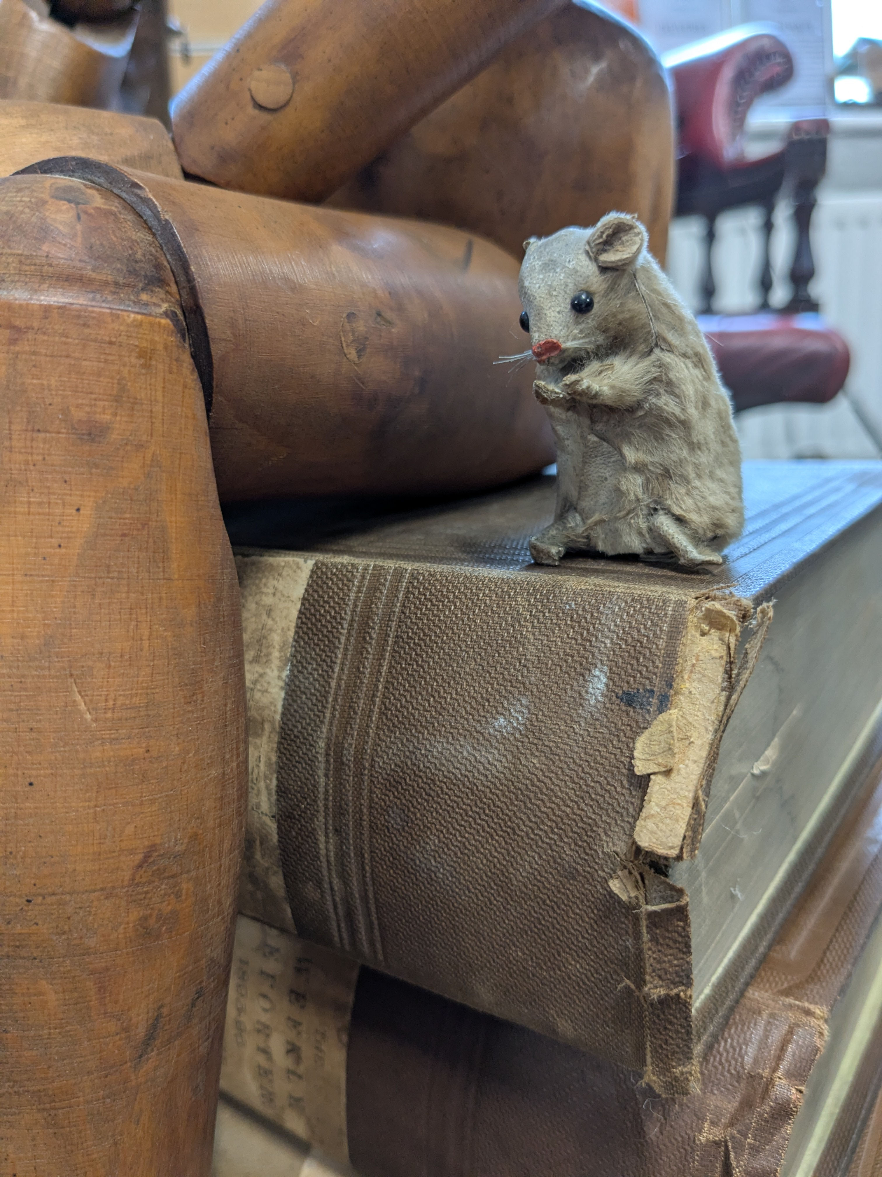 Mouse 