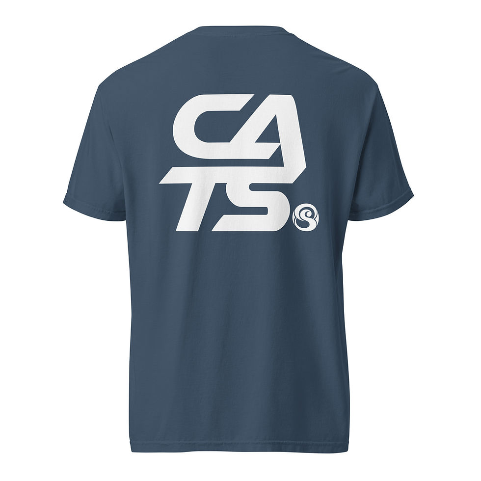 Thumbnail: Unisex garment-dyed heavyweight t-shirt